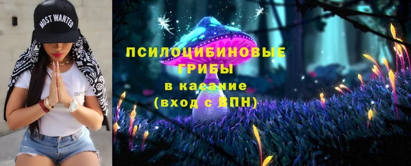 а пвп мука Абаза