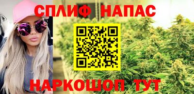 гашик Обь