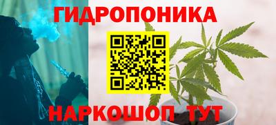 гашик Обь