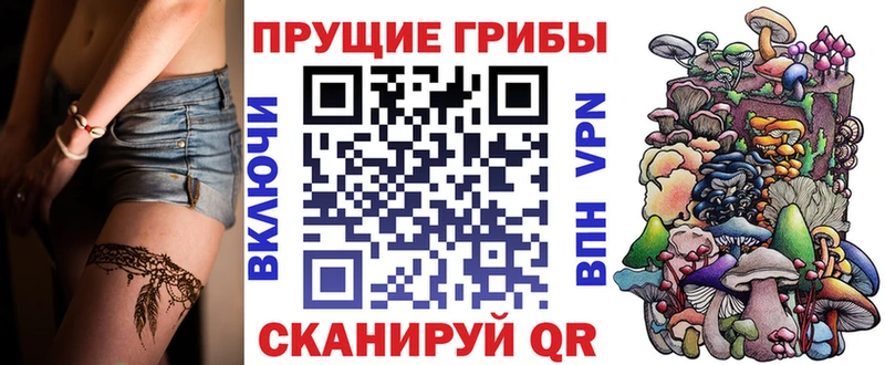Галлюциногенные грибы Psilocybine cubensis  Ухта 