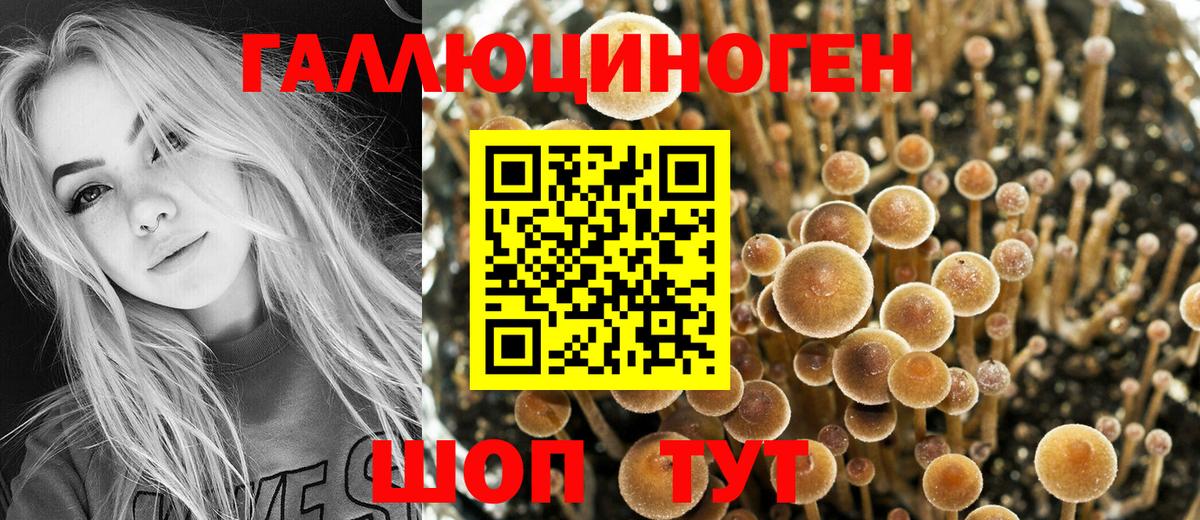 Псилоцибиновые грибы Magic Shrooms  Галлюциногенные грибы прущие грибы  Ухта  как найти   Вход с VPN 