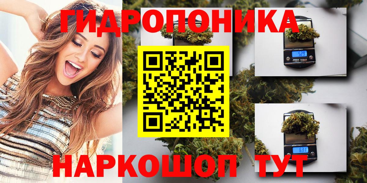 Бошки Шишки план Ухта